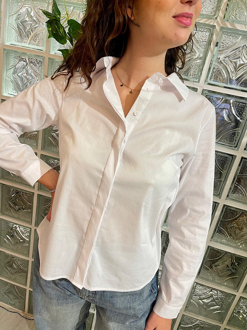 Camicia bianca