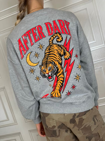 Felpa after dark grigia - Haveone