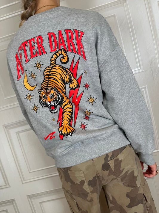Felpa after dark grigia - Haveone