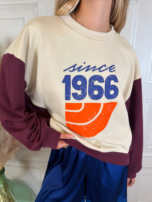 Felpa vintage since 1966 - Haveone