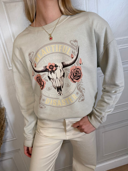 Felpa Beautiful Disaster grigia - Haveone