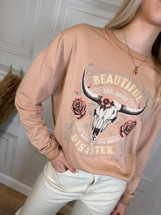 Felpa Beautiful Disaster rosa - Haveone