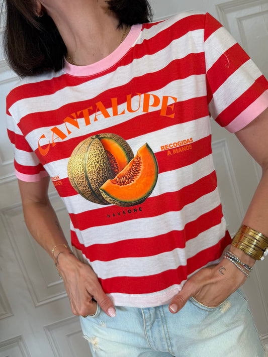 T-shirt cantalupe - HaveOne
