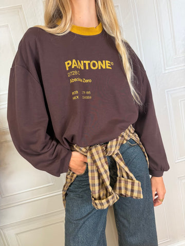 Felpa Pantone cioccolato - Haveone