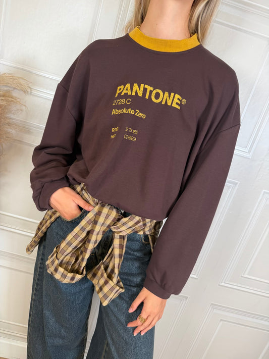 Felpa Pantone cioccolato - Haveone